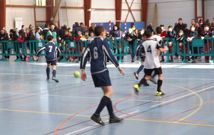 54e0e173a3db8_VERTOUle11012015171.JPG