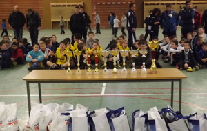 54ee3e416d5ae_tournoi22022015153.JPG