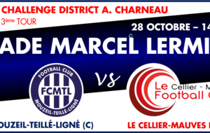 [CdD]> FC MTL (C) -  CELLIER/MAUVES (B) | 14H30