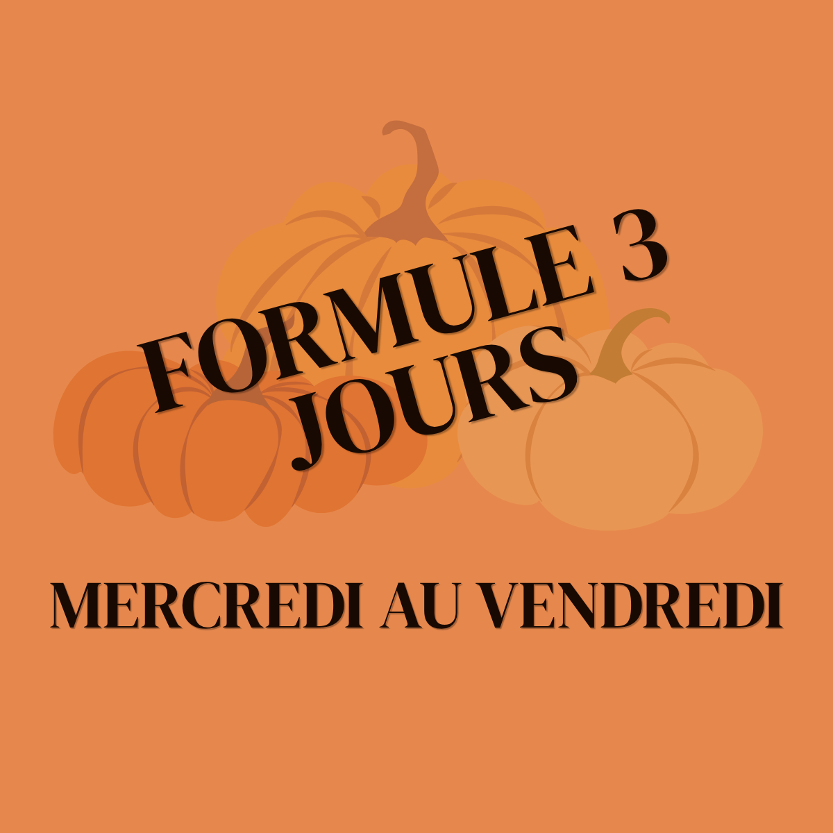 SEMAINE 1 -STAGE OCTOBRE 2026 | 7 à 12 ans | 3 JOURS (mercredi 21 au vendredi 23 OCTOBRE)