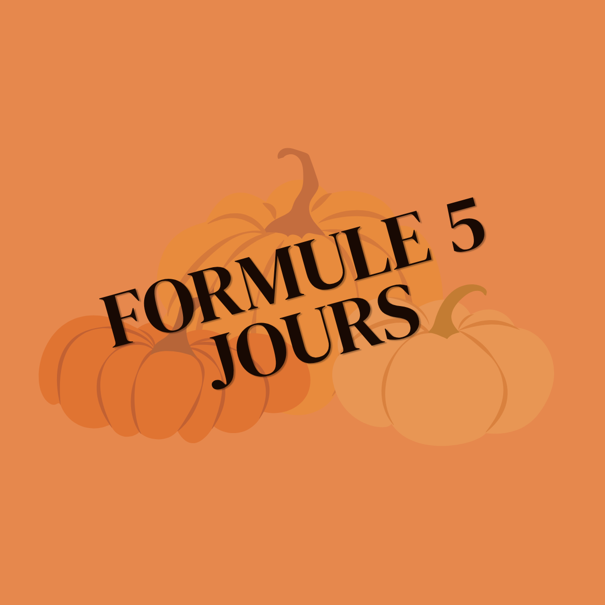 SEMAINE 1 -STAGE OCTOBRE 2026 | 7 à 12 ans | 5 JOURS (lundi 19 au vendredi 23 OCTOBRE)