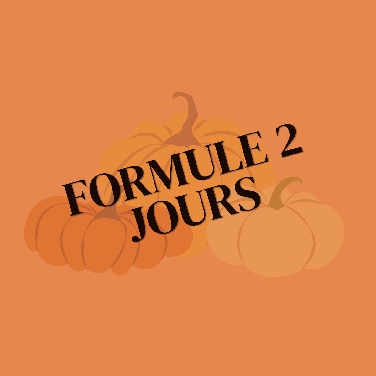 SEMAINE 1 -STAGE OCTOBRE  2026 | 7 à 12 ans | 2 JOURS (Lundi 19 et mardi 20 Octobre)
