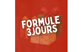 SEMAINE 1 -STAGE DÉCEMBRE 2026 | 8 à 12 ans | 3 JOURS (lundi 21 au mercredi 23 DÉCEMBRE)