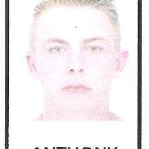 Anthony Gelin